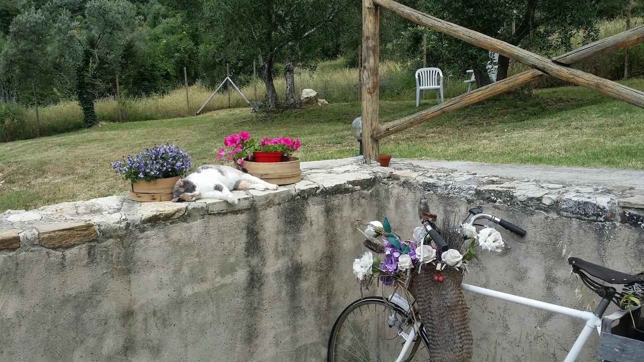 فيسولي B&B Le Torri Di Firenze المظهر الخارجي الصورة
