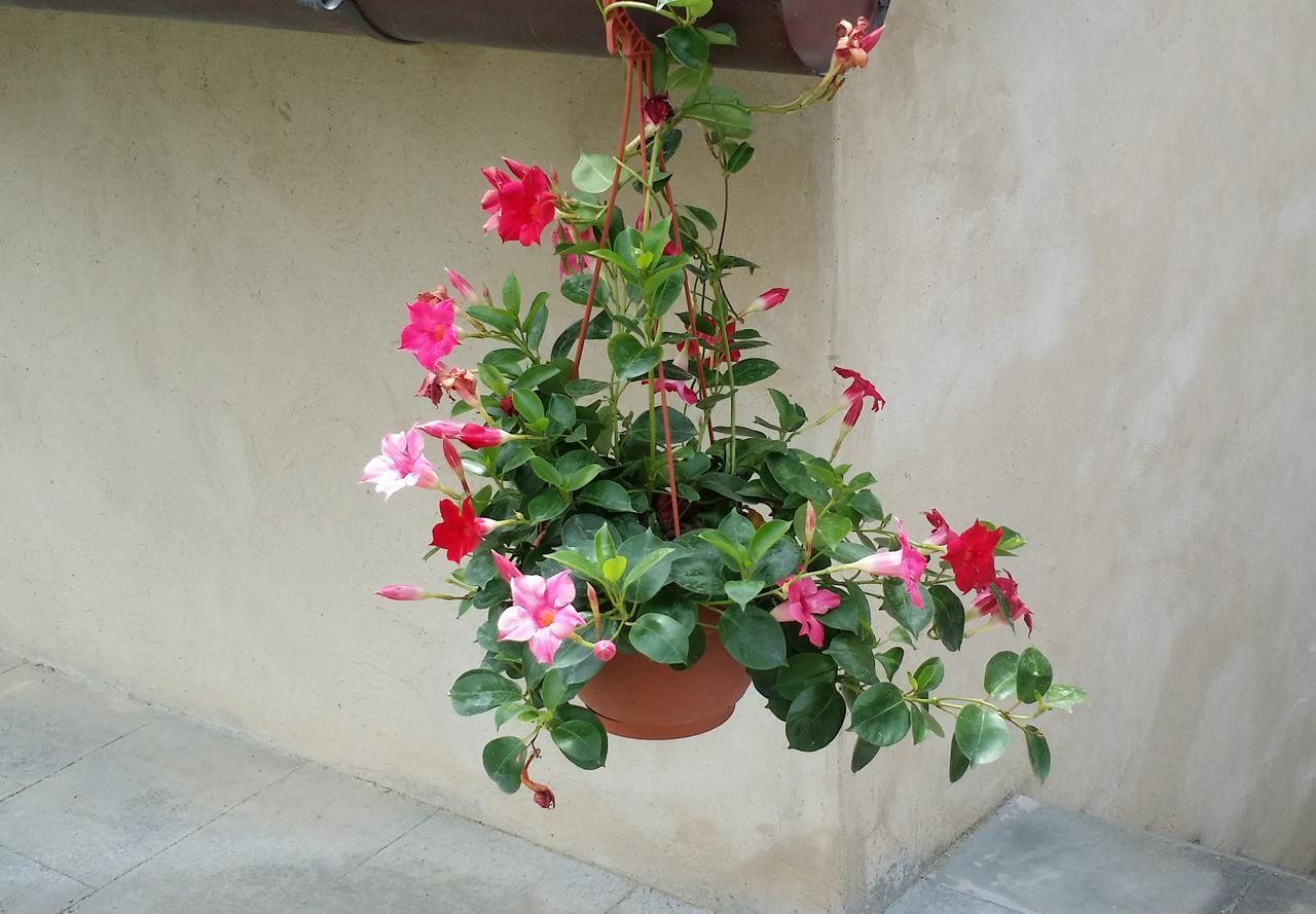 فيسولي B&B Le Torri Di Firenze المظهر الخارجي الصورة