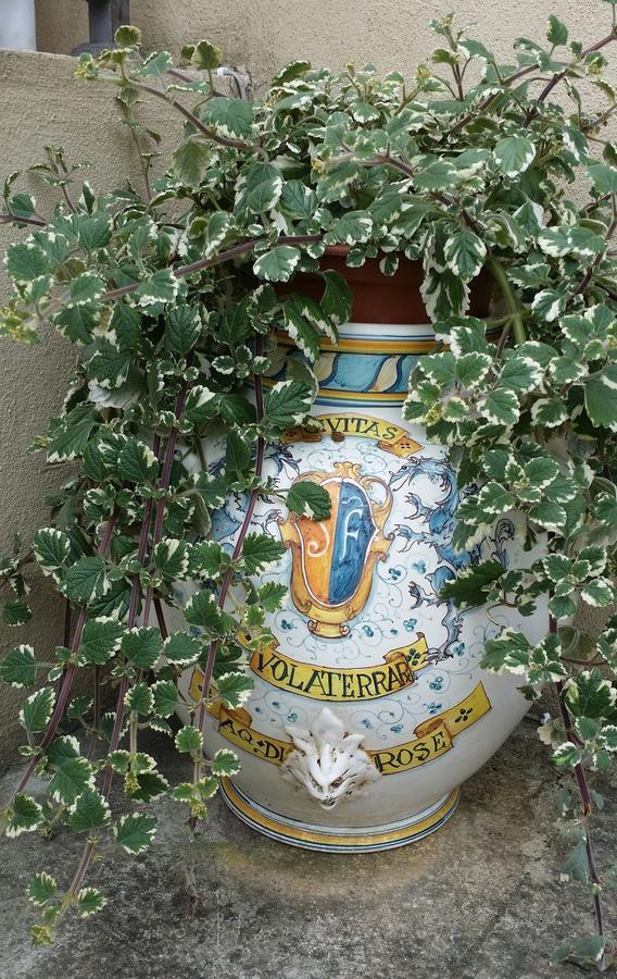 فيسولي B&B Le Torri Di Firenze المظهر الخارجي الصورة